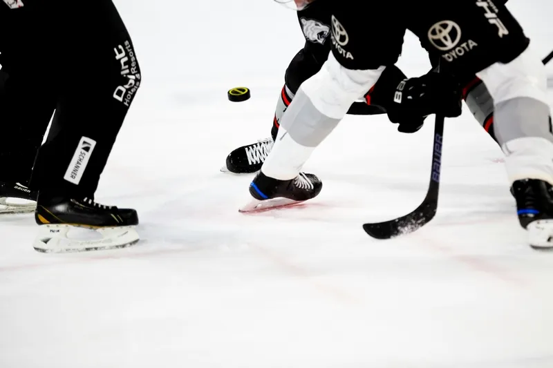 Svensk hockeystjärna döms för rattfylleri och narkotikabrott
